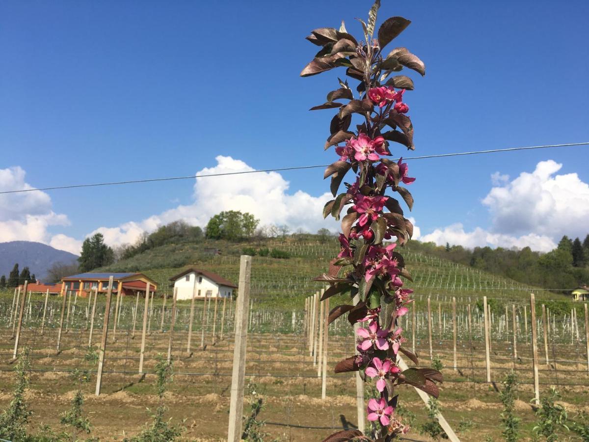 Agrialpi By Salfrutta Bed & Breakfast Bricherasio Екстериор снимка