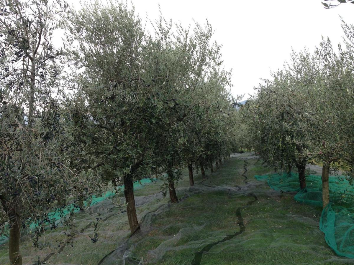 Agrialpi By Salfrutta Bed & Breakfast Bricherasio Екстериор снимка
