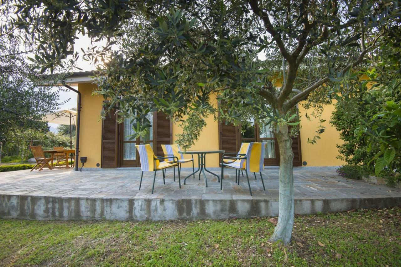 Agrialpi By Salfrutta Bed & Breakfast Bricherasio Екстериор снимка